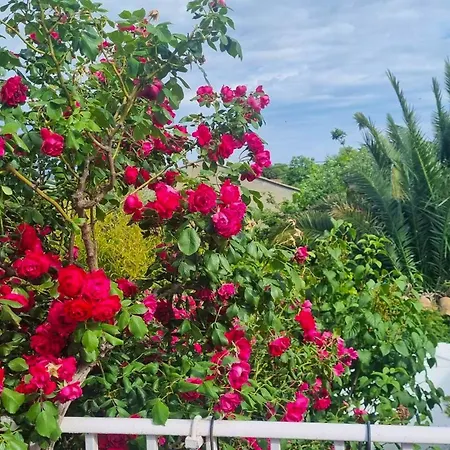 One Bedroom Chalet With Shared Pool Terrace And Wifi At * Sieso de Huesca